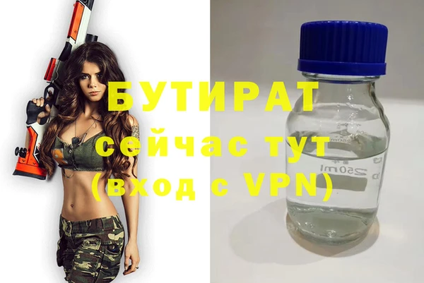гидра Каменка
