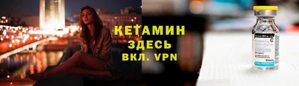 гидра Каменка
