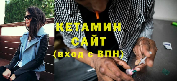 гидра Каменка