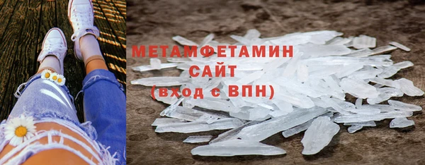 гидра Каменка