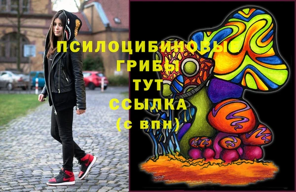 гидра Каменка