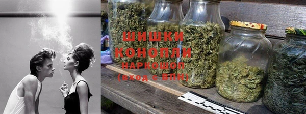 гидра Каменка