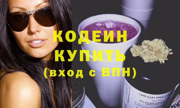 гидра Каменка