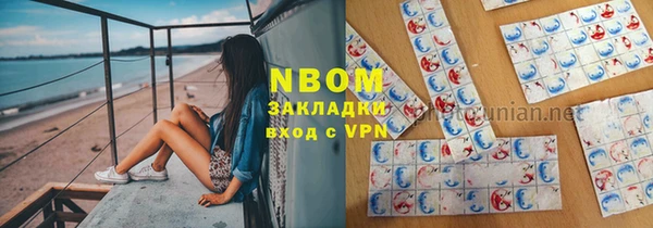 гидра Каменка