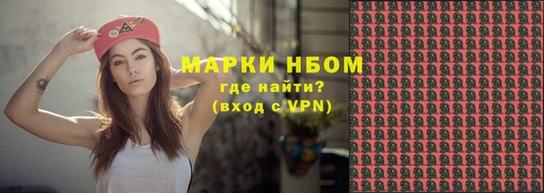 гидра Каменка