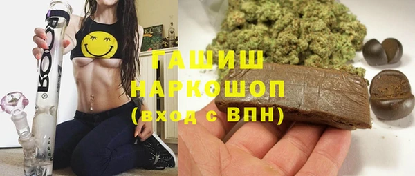 гидра Каменка