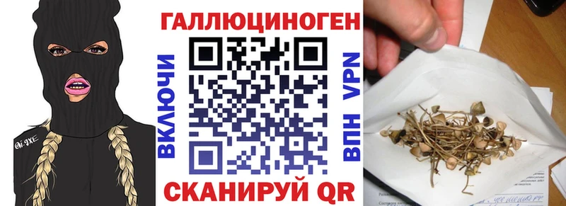 Галлюциногенные грибы мицелий  Купить где  Гуково 